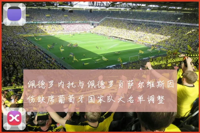 佩德罗内托与佩德罗贡萨尔维斯因伤缺席葡萄牙国家队大名单调整