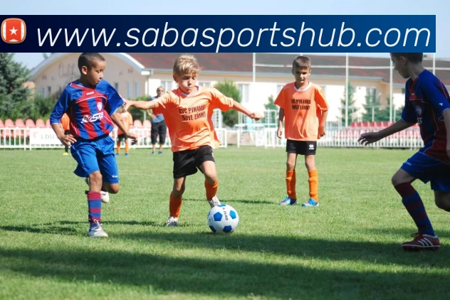 沙巴体育服务体系