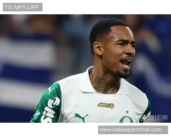 帕尔梅拉斯主帅高度评价21岁小将阿兰呼吁俱乐部给予涨薪待遇